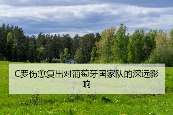 luo-shang-yu-fu-chu-dui-pu-tao-ya-guo-jia-dui-de-shen-yuan-ying-xiang-2-317.jpg