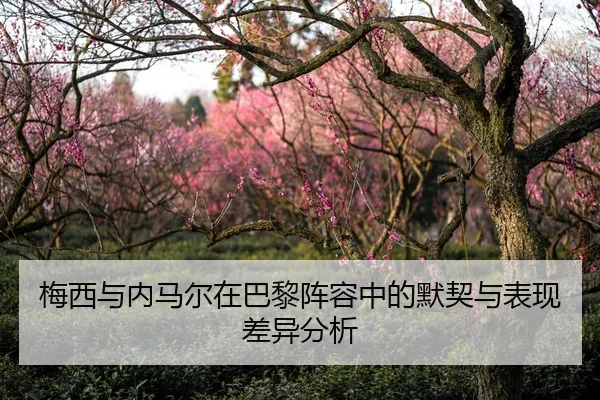 梅西与内马尔在巴黎阵容中的默契与表现差异分析