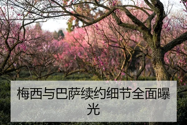 梅西与巴萨续约细节全面曝光